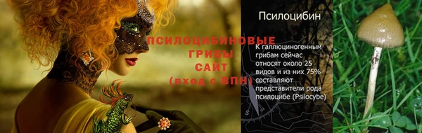 стаф Краснотурьинск