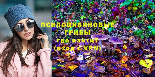 мдпв Краснослободск