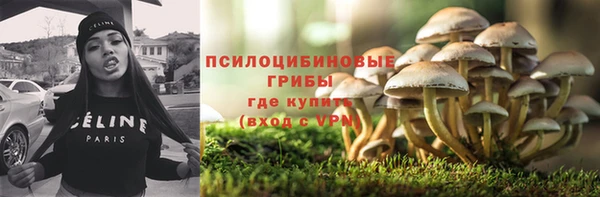 стаф Краснотурьинск