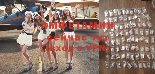 мдпв Краснослободск