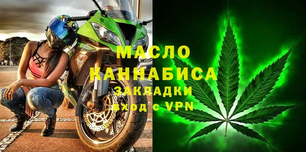 мдпв Краснослободск