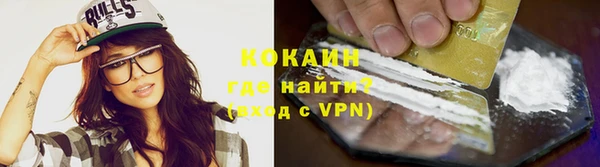 мдпв Краснослободск
