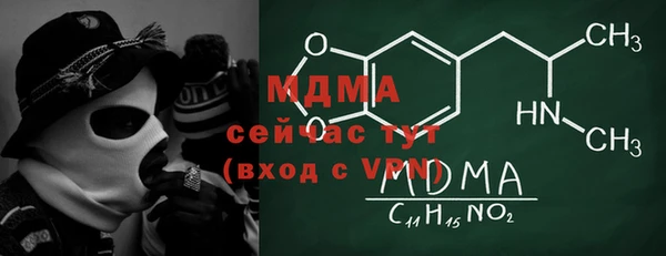 мдпв Краснослободск