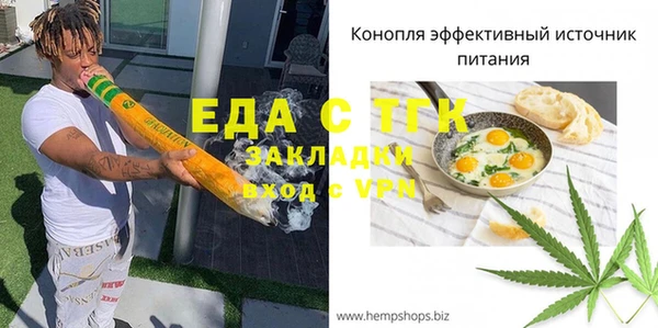 мдпв Краснослободск