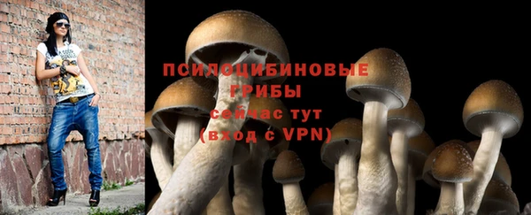 соль ск Красноперекопск