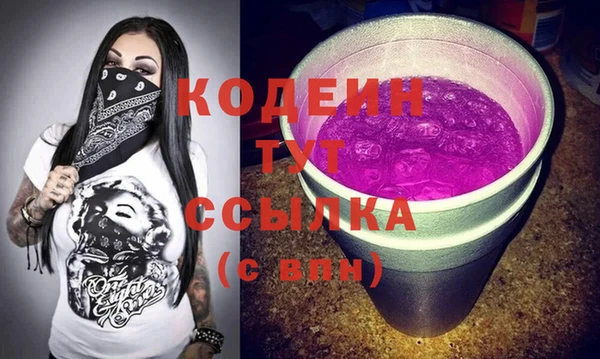мдпв Краснослободск
