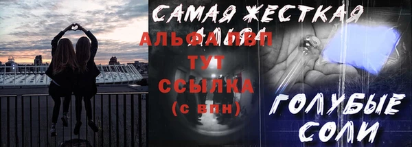 мдпв Краснослободск